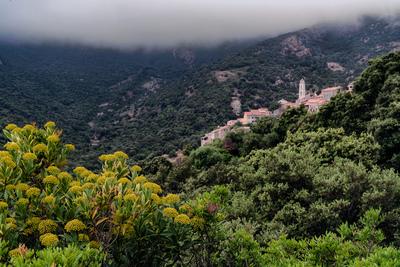 photo spots in Corse - Palasca - view from the road