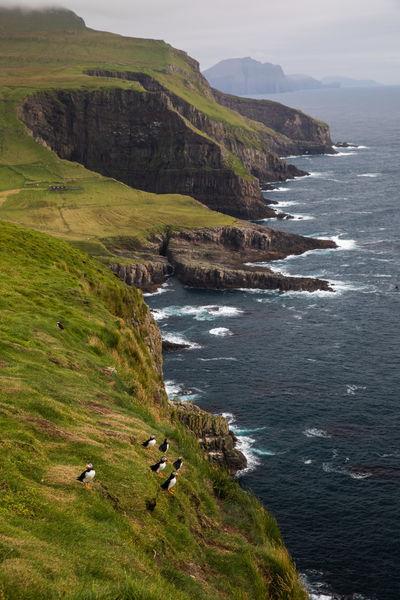 pictures of Faroe Islands - Mykines Island