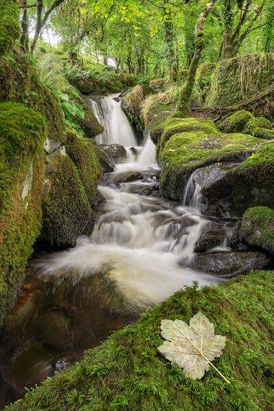 Dartmoor photo spots - Colly Brook Waterfalls