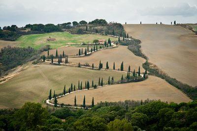 photo spots in Tuscany - Winding road view from La Foce