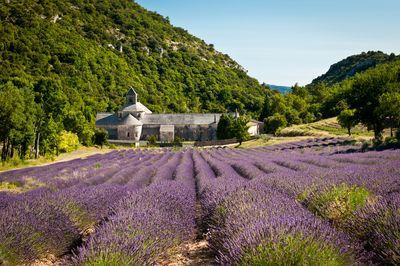 instagram locations in Provence Alpes Cote D Azur - Sénanque Abbey