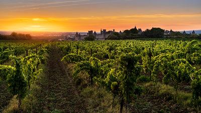 photography locations in Occitanie - Carcassonne - view from the east