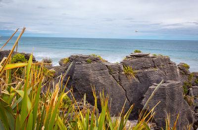 New Zealand pictures - Pancake Rocks