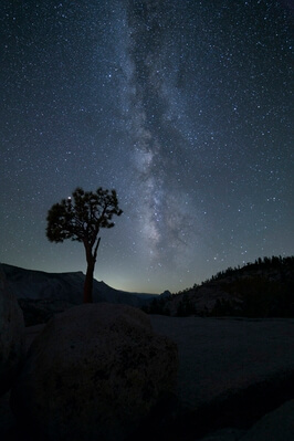 photos of Yosemite National Park - Olmsted Point