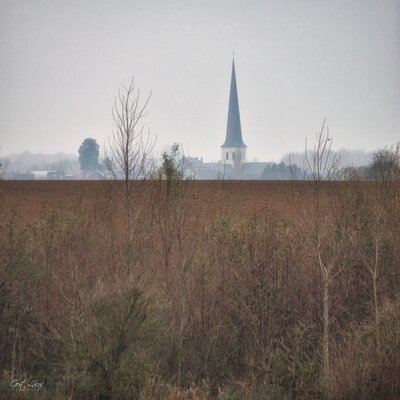 Vlaanderen photo locations - Pajottenland - St Quintinus Church from Bree-Eikweg
