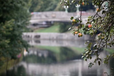 instagram locations in Ljubljana - Ljubljanica River from Žitni Most 