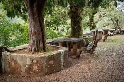 Madeira instagram spots - Wooden seats by the Rabaçal Nature Spot cafe