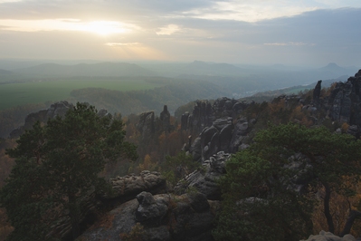 photography spots in Germany - Two Trees, Saxon Switzerland National Park