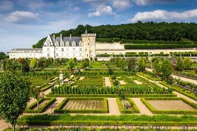 Centre Val De Loire photography locations - Chateau de Villandry