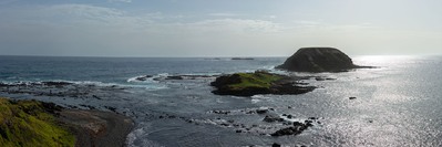 photo spots in Victoria - Round Island from The Nobbies Viewpoint