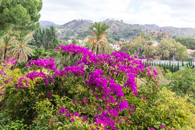 Andalucia instagram spots - Botanical Gardens, Malaga