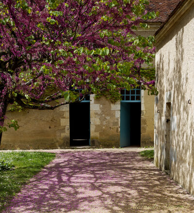 Centre Val De Loire instagram spots - Maison George Sand,