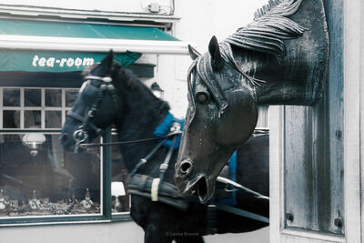 Belgium photo spots - Horse Head Drinking Fountain