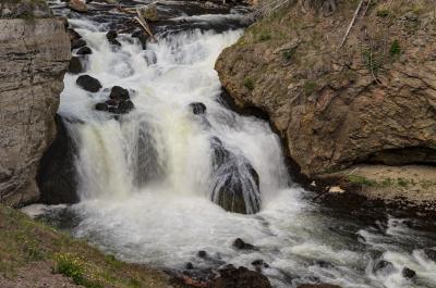pictures of Yellowstone National Park - Firehole Falls