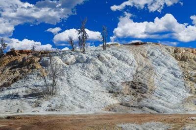 pictures of Yellowstone National Park - MHS - Palette Springs