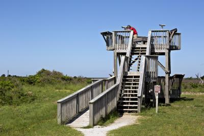 pictures of Outer Banks - Pea Island National Wildlife Reserve
