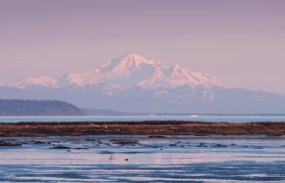 Canada pictures - Boundary Bay Dyke, Delta