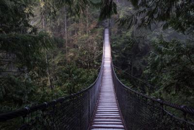 photography spots in Vancouver - Lynn Canyon Suspension Bridge, North Vancouver