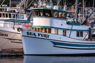 photos of Puget Sound - Eddon Boat Park