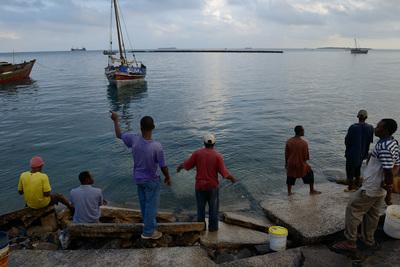 Image of Zanzibar Harbour & Fishermen - Zanzibar Harbour & Fishermen