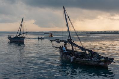 Photo of Zanzibar Harbour & Fishermen - Zanzibar Harbour & Fishermen