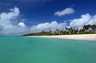 pictures of Zanzibar Island - Pwani Mchangani Beach