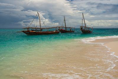 images of Zanzibar Island - Safari Blue Day Trip
