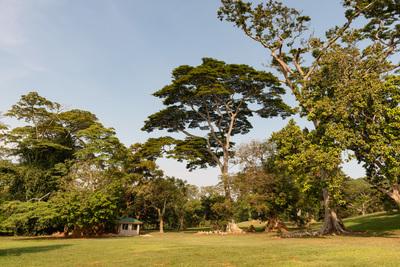 Photo of Entebbe Botanical Garden - Entebbe Botanical Garden