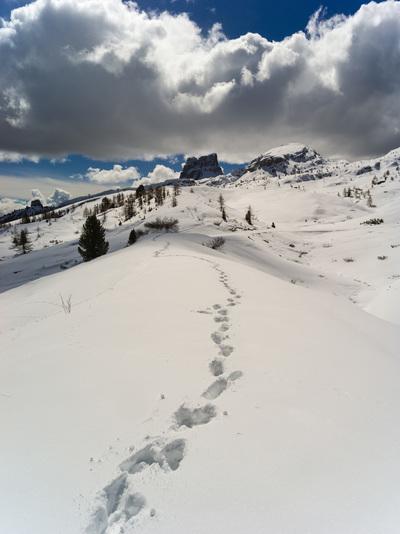photo locations in The Dolomites - Passo Falzarego