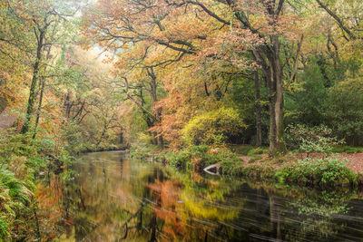 A 3 shot stitched vertical image taken on a telephoto lens with a 3 stop ND and CPL filter.