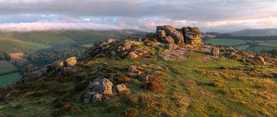 Picture of Honeybag Tor - Honeybag Tor