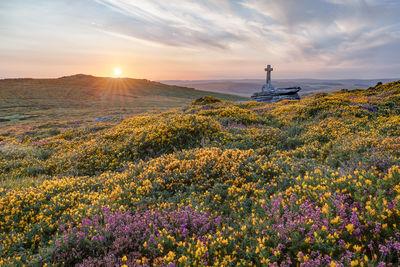 Cave Penny Cross on a summer sunset with the gorse and heather in flower.