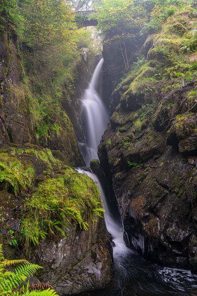 Picture of Aira Force and High Forces, Lake District - Aira Force and High Forces, Lake District