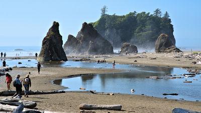 images of Olympic National Park - Ruby Beach