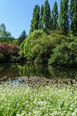Photo of Butchart Gardens - Butchart Gardens