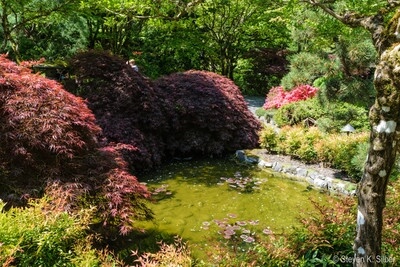 Image of Butchart Gardens - Butchart Gardens