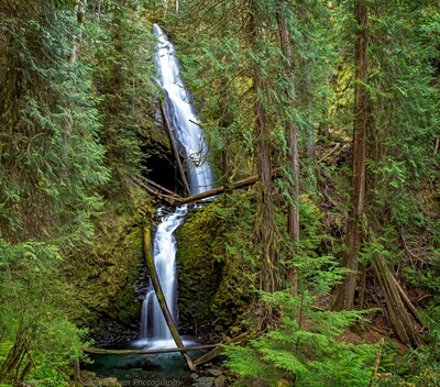 pictures of Olympic National Park - Murhut Falls
