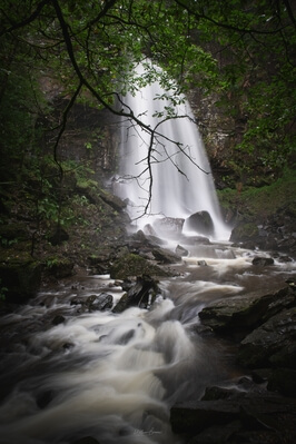 Photo of Melincourt Falls - Melincourt Falls