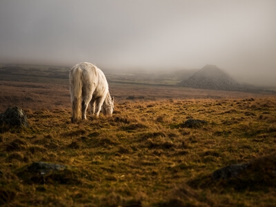 photography locations in Devon - King's Tor