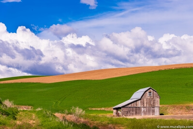 images of Palouse - Parvin Road Grey Barn