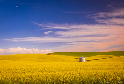 images of Palouse - Dunning Road Grain Bin