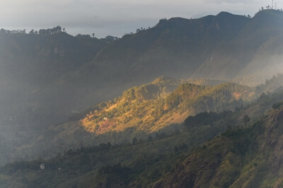 Picture of View from Little Adam's Peak - View from Little Adam's Peak