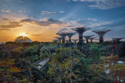 Photo of Gardens by the Bay - Gardens by the Bay