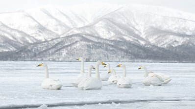 instagram spots in Japan - Lake Kussharo