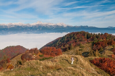 Image of Peaks of Soriška Planina - Peaks of Soriška Planina