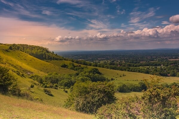 Ditchling Beacon (north side)