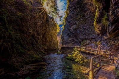 Photo of Vintgar Gorge - Vintgar Gorge