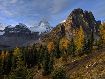 Picture of Mount Assiniboine,  East Kootenay - Mount Assiniboine,  East Kootenay