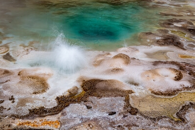 photo spots in Yellowstone National Park - Spasmodic Geyser