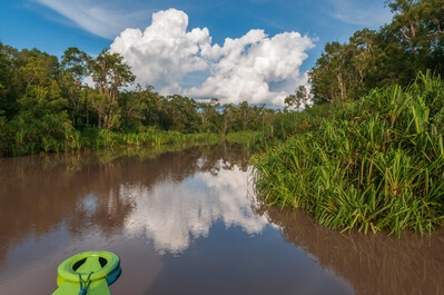 Photo of Tanjung Puting National Park with Klotok - Tanjung Puting National Park with Klotok